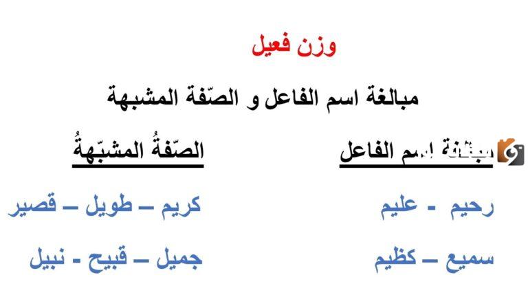 الفرق بين الصفة المشبهة وصيغة المبالغة