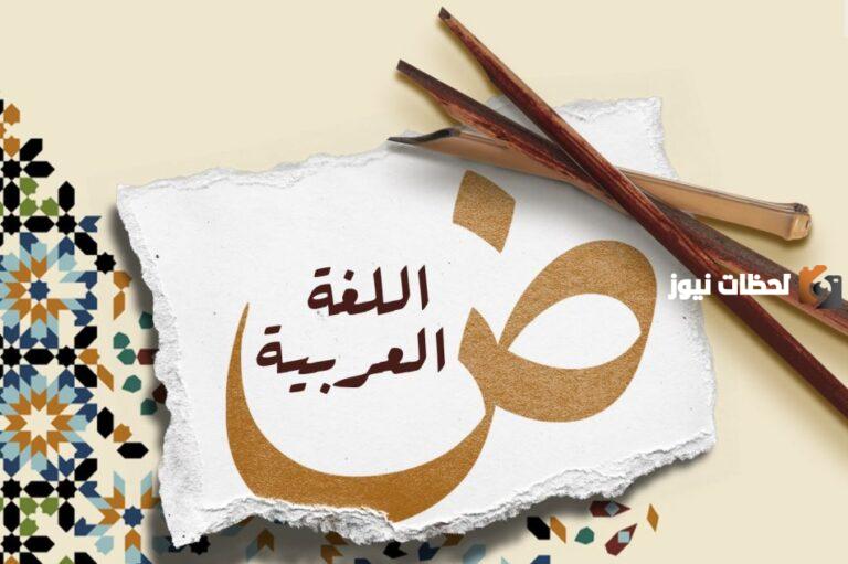 الفرق بين الفعل اللازم والمتعدي والجامد والمتصرف