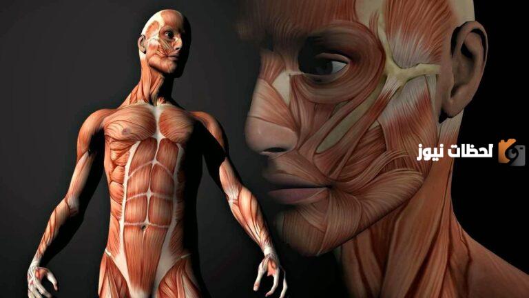 20 حقيقة لا تصدق عن جسم الإنسان يجب أن تعرفها