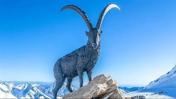 حظك اليوم برج الجدي .. اول اسبوع من شهر ديسمبر