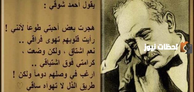 حكم جميلة عن الدنيا والآخرة