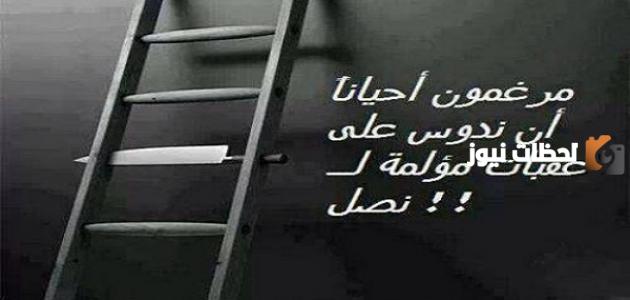 حكم عن الدراسة والعلم جميلة