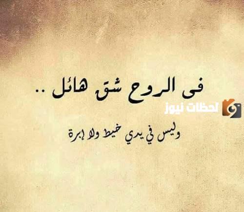 إليك حكمة قوية جدا عن الحياة