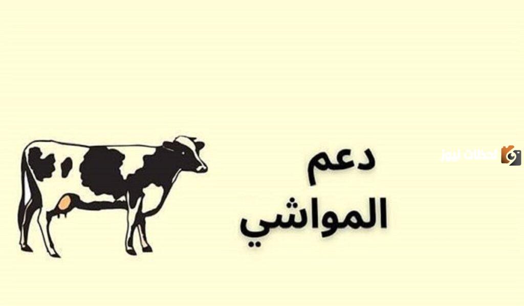 خطوات الاستعلام عن دعم الثروة الحيوانية 1447