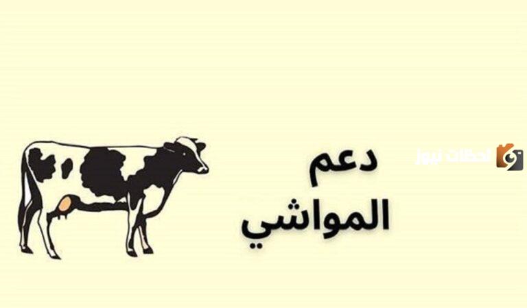 خطوات الاستعلام عن دعم الثروة الحيوانية 1447