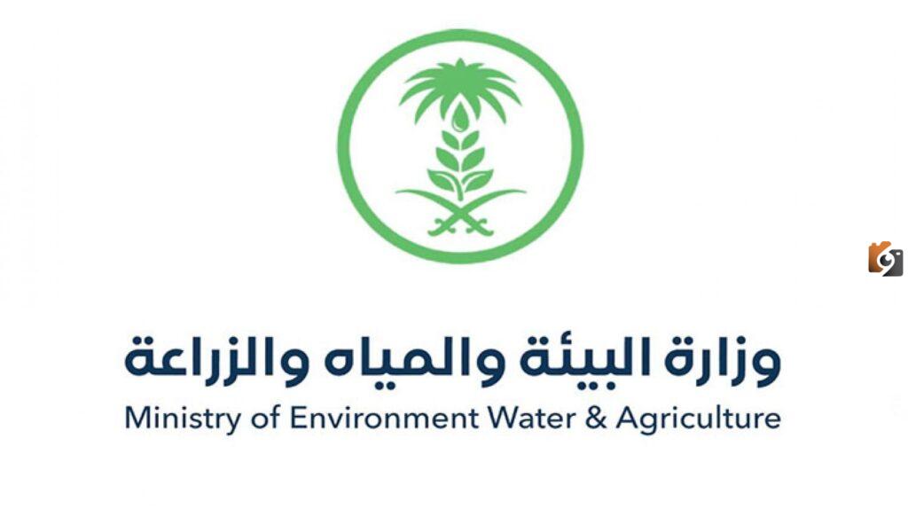 خطوات دعم المواشي إلكترونيًا من خلال وزارة البيئة والمياه والزراعة