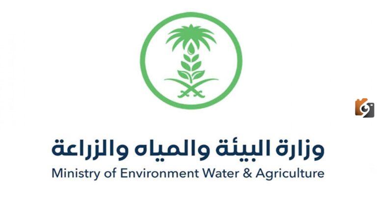 خطوات دعم المواشي إلكترونيًا من خلال وزارة البيئة والمياه والزراعة