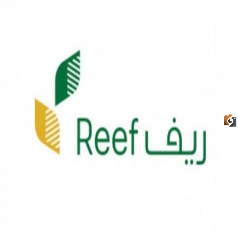 كيفية الاستعلام عن دعم ريف باستخدام رقم الهوية وما هي شروط الحصول على الدعم؟