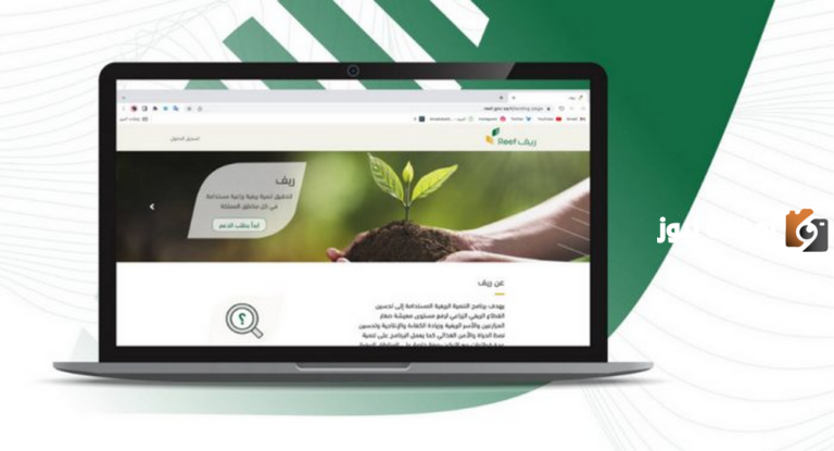 رابط تسجيل الدخول إلى دعم العسل ريف 1447 وخطوات التسجيل وشروط الحصول على الدعم