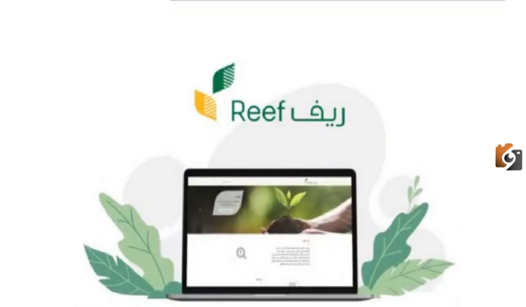 تجنب رفض طلب الاستفادة من الدعم الريفي وتعرف على ما هي طريقة التسجيل وشروط القبول