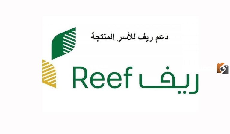كيفية الاستعلام عن دعم ريف 1447 وما هي شروط قبوله؟