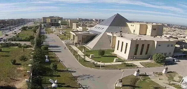 ما هو رقم جامعة النهضة الخط الساخن بني سويف