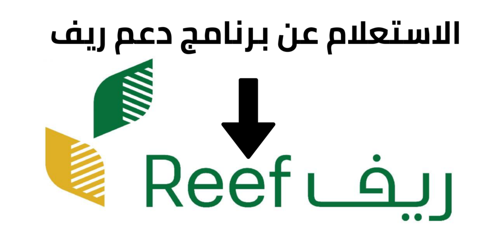 شروط التقديم لدعم ريف وكيفية الاستعلام عن الاستحقاق للدعم الريفي