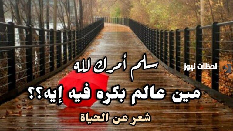 شعر عن الحياة السعيدة