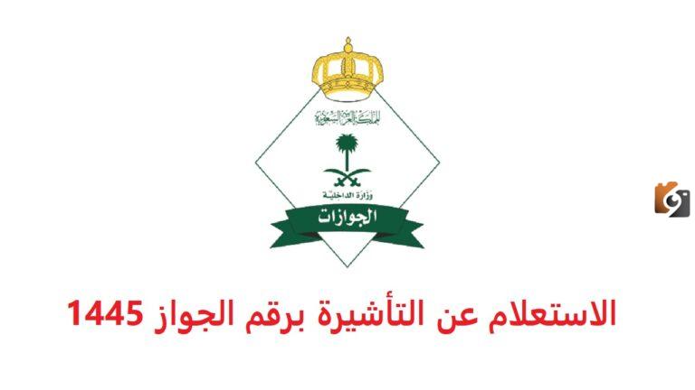 طريقة الاستعلام عن الجوازات المؤشرة برقم الجواز 1447 وأهم شروط إصدار التأشيرة