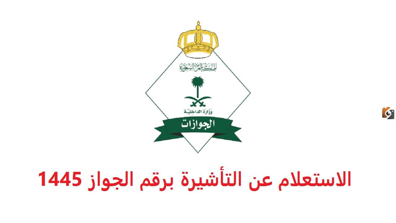 طريقة الاستعلام عن الجوازات المؤشرة برقم الجواز 1447 وأهم شروط إصدار التأشيرة