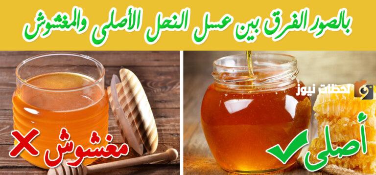طريقة التمييز العسل الأصلي من المغشوش