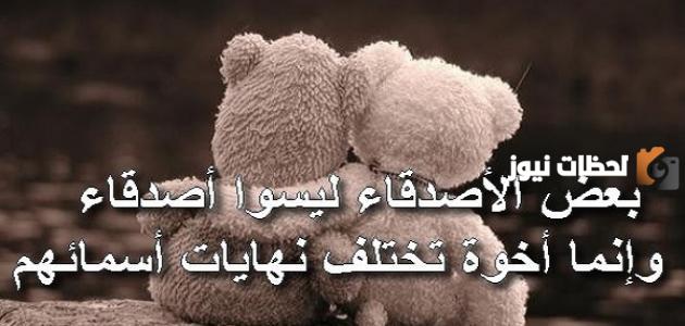 عبارات جميلة للاصدقاء الاصدقاء نعمة