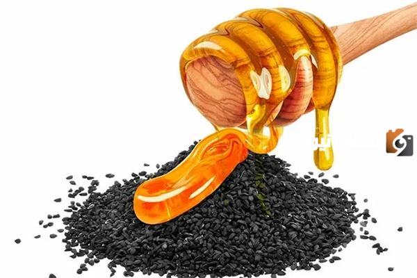 ما هي فوائد العسل مع حبة البركة على الريق