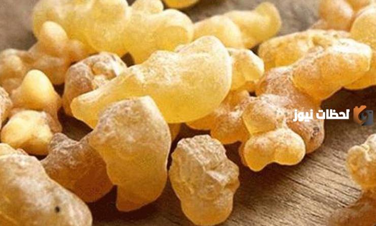النتيجة ستفاجئك .. فوائد لبان الذكر على الريق كل ليلة