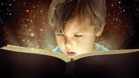 أفضل قصص الأطفال قصة الثعلب والفراشة