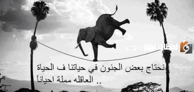 كلام من ذهب عن الحياة الصعبة