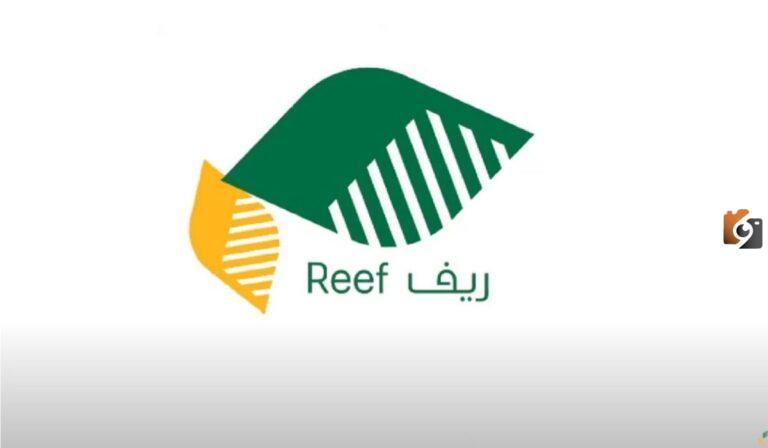 بالخطوات كيفية الاستعلام عن دعم ريف برقم الهوية 1447 والتسجيل فيه أون لاين