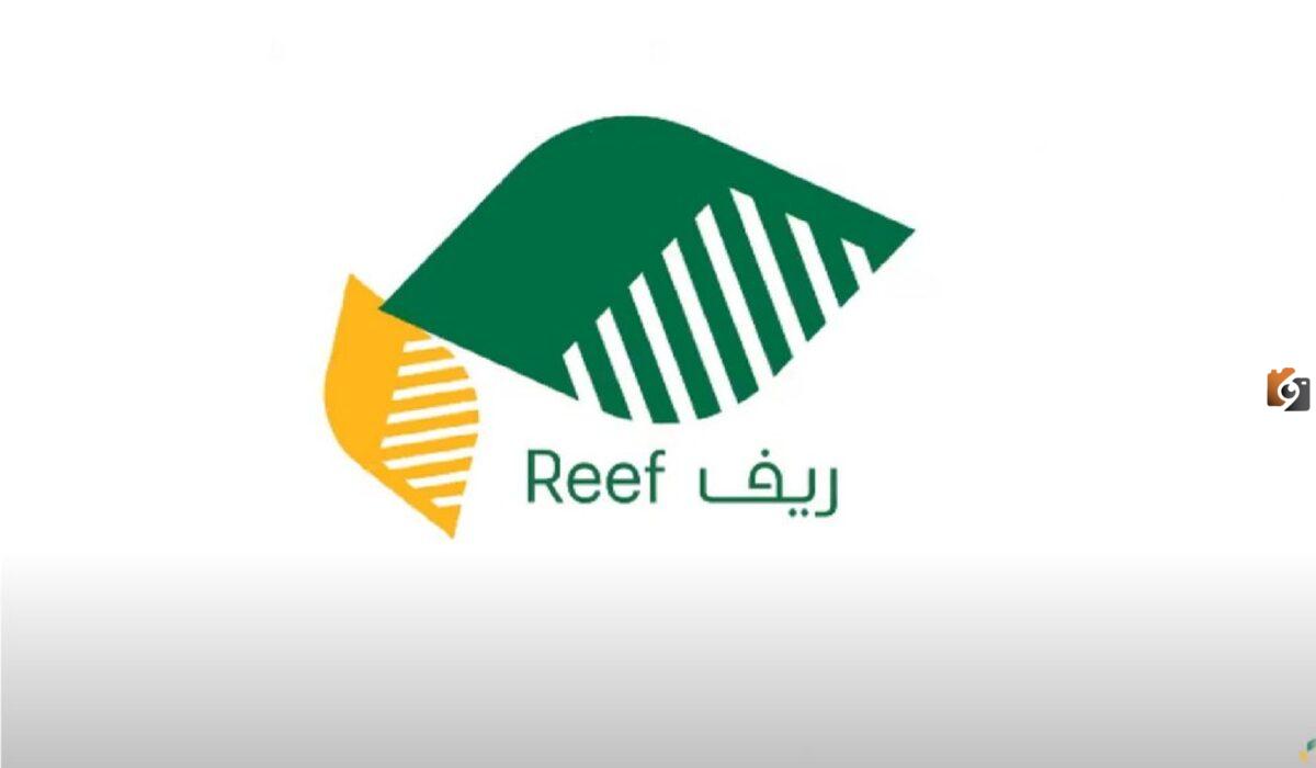 بالخطوات كيفية الاستعلام عن دعم ريف برقم الهوية 1447 والتسجيل فيه أون لاين