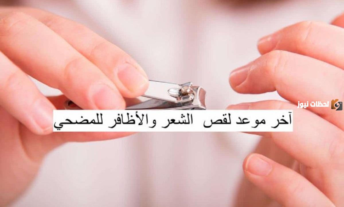 ما اخر موعد لقص الاظافر للمضحي … وهل قص الأظافر يبطل الأضحية