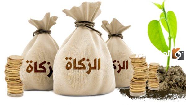 ما الفرق بين زكاة الفطر وزكاة المال