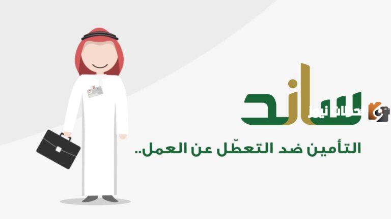 بعد رفع الحد الادنى .. ما هو الحد الادنى لراتب السعودي في التامينات 2025