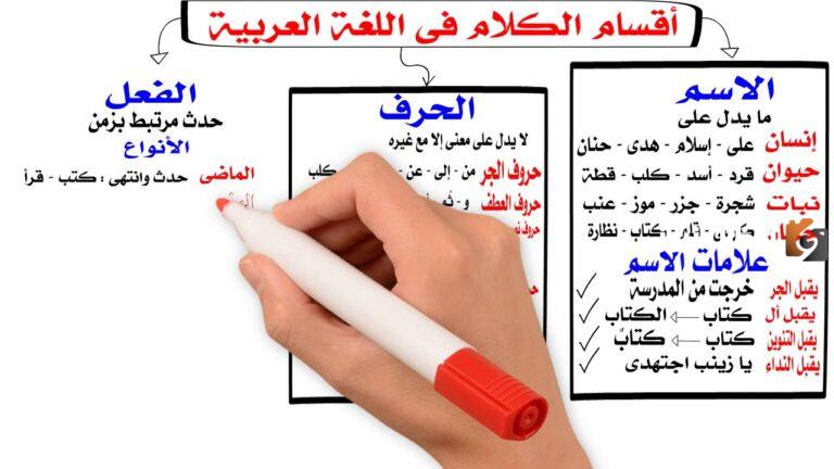 ما هو شرح أنواع الكلمة في اللغة العربية