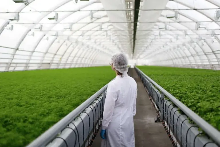 ما هي الوظائف المتاحة لخريجي كلية الزراعة في مصر ومستقبلها
