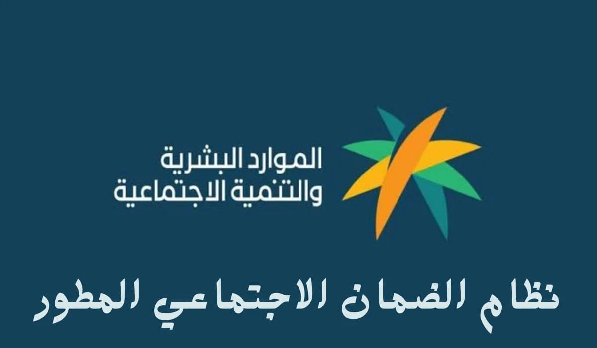 الموارد البشرية عبر نفاذ .. ما هي خطوات استعلام الضمان المطور 2025
