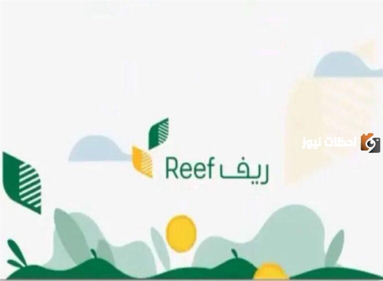 متى ينزل دعم ريف شهر ديسمبر 2025 وما الفئات المستحقة للدعم… البيئة والمياه والزراعة توضح