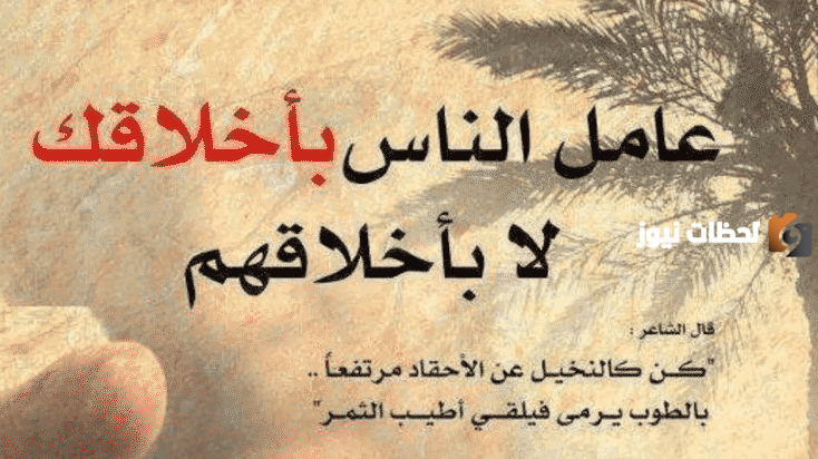 44+ أروع الحكم في الحياة