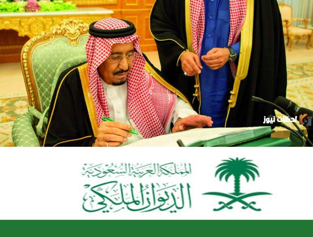 أنواع مساعدات الديوان الملكي السعودي, مساعدات الديوان الملكي السعودي