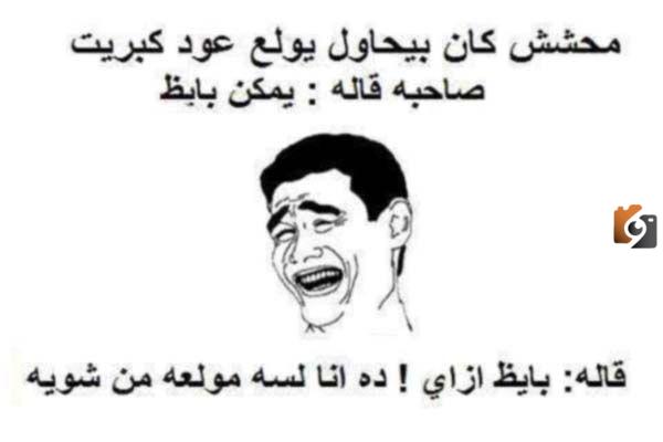 نكت محششين