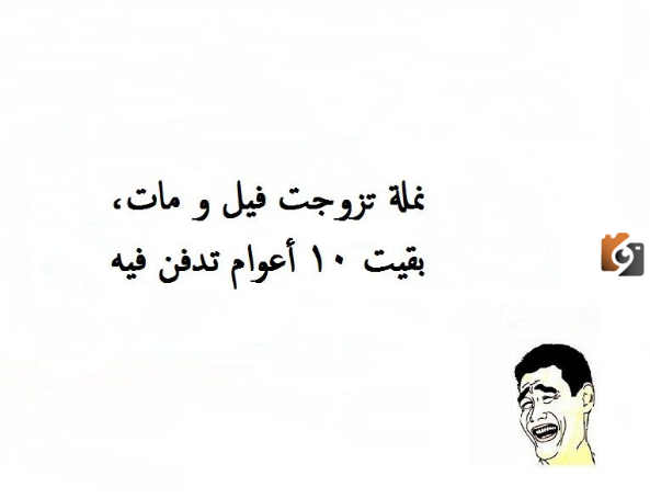 نكت مضحكة قصيرة