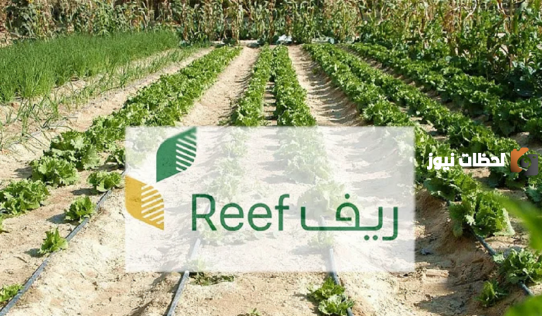وزارة الموارد البشرية تُجيب على سؤال هل دعم الريف يؤثر على حساب المواطن؟ وماهي عقوبة إخفاء مصادر الدخل
