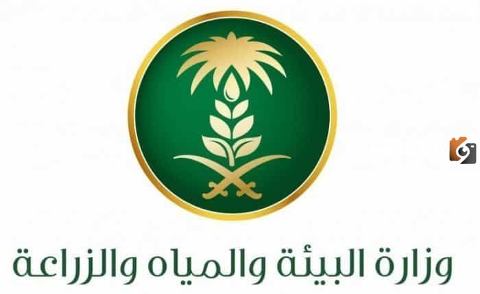 وظائف خالية للتقديم بوزارة البيئة لحملة الدبلوم فأعلى