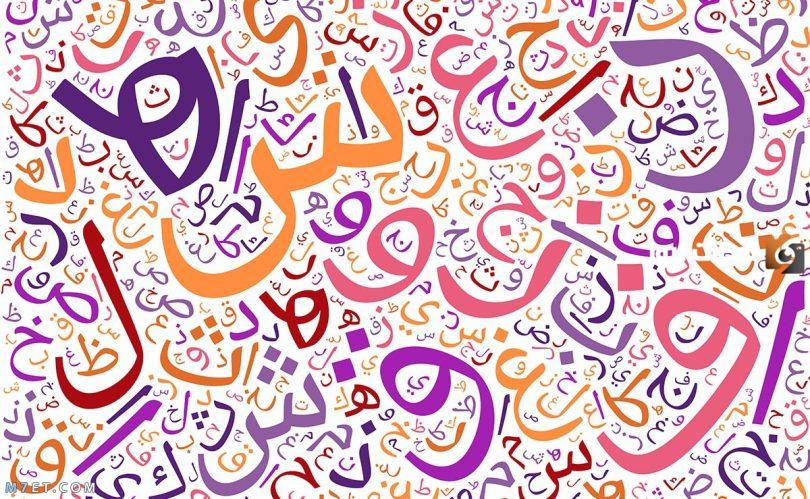 تدريبات على جمع المؤنث السالم وملحقاته مع الحل