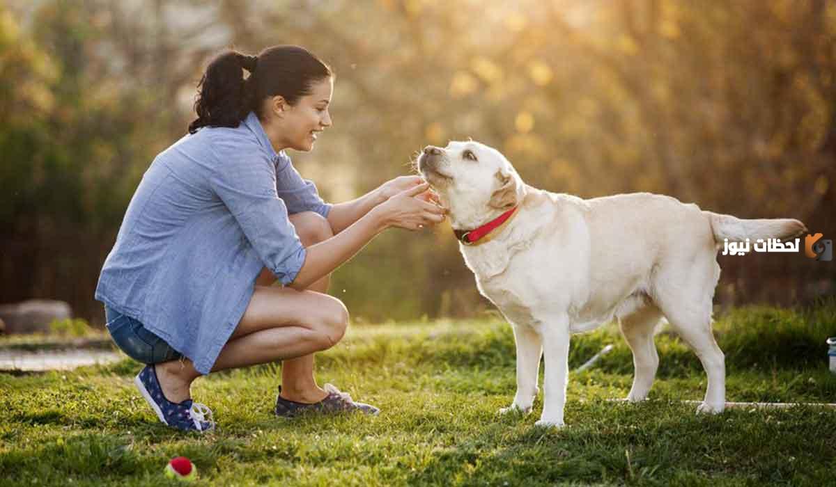 معلومات عن أنواع الكلاب | أجمل المعلومات عن تربية الكلاب