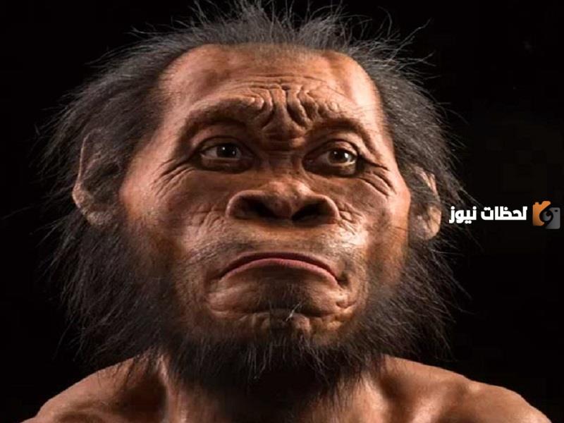 تصنيف الإنسان في علم الأحياء