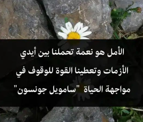 عبارات خواطر جميلة | خواطر عبارات جميلة عن الحياة والامل