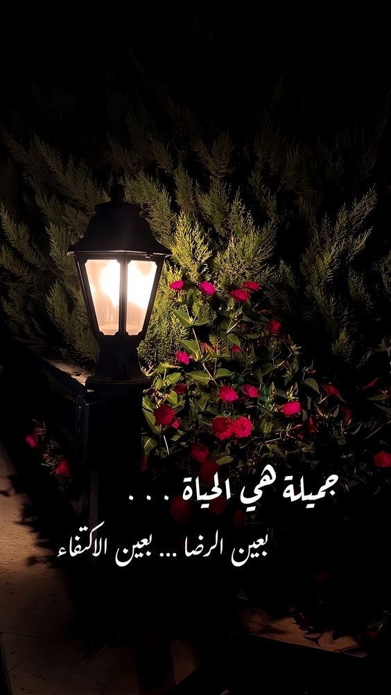 عبارات حلوه فيس بوك عن الحياة حلوة