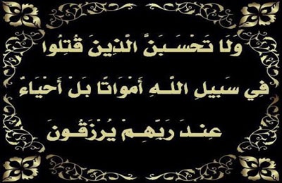 أجمل الخواطر عن الشهداء 2