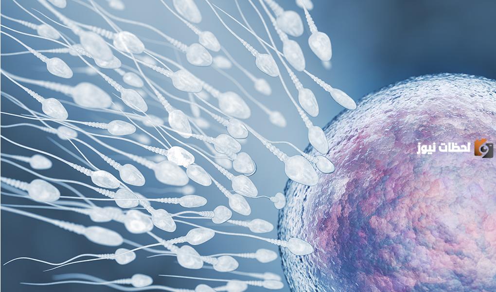 كم مرة تحتاج المرأة للجماع في الأسبوع للحمل