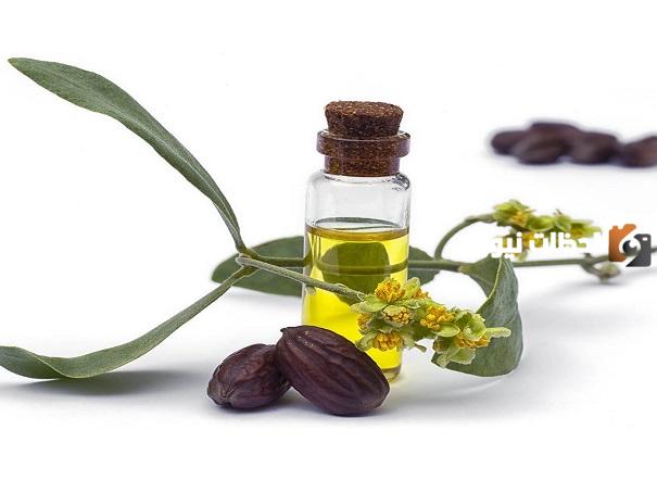 تعرف على إستخدامات زيت الجوجوبا بالكامل