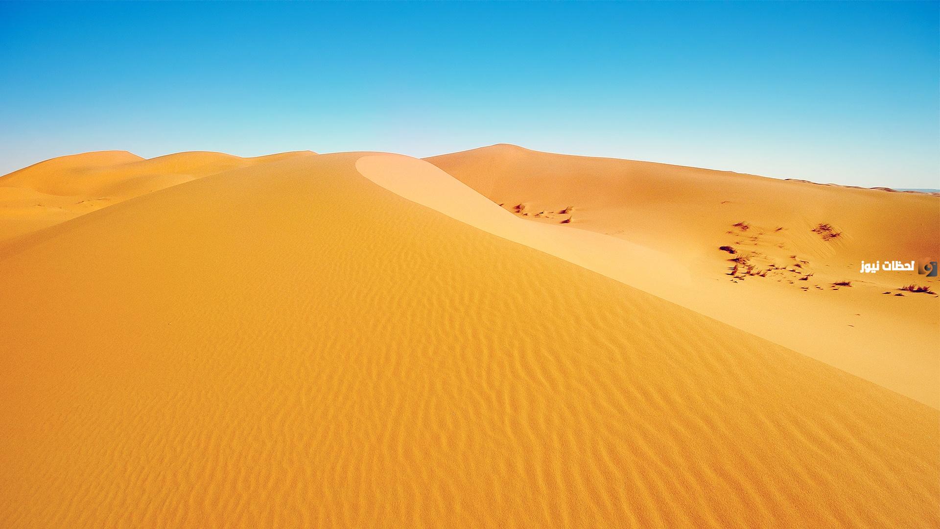 تكيف الكائنات الحية في البيئة الصحراوية